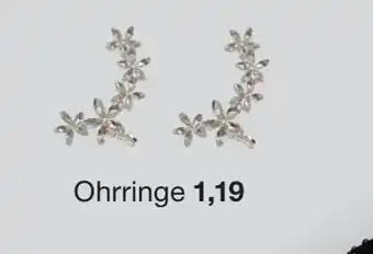 Zeeman Ohrringe Angebot