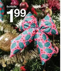 Zeeman Schleife Angebot