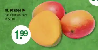 V Markt XL Mango Angebot