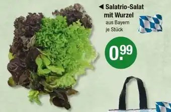 V Markt Salatrio-Salat mit Wurzel Angebot