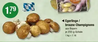 V Markt Egerlinge / braune Champignons Angebot