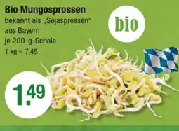 V Markt Bio Mungosprossen Angebot