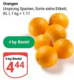 Globus Orangen Angebot