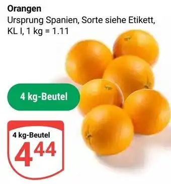 Globus Orangen Angebot