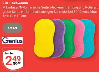 Globus Genius 2 in 1-Schwamm Angebot