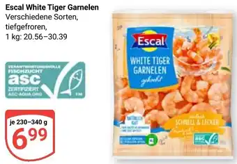 Globus Escal White Tiger Garnelen Angebot