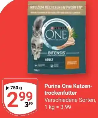Globus Purina One Katzentrockenfutter Angebot