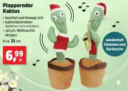 Thomas Philipps Plappernder Kaktus Angebot