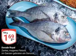 Globus Dorade Royal Angebot