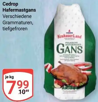 Globus Cedrop Hafermastgans Angebot