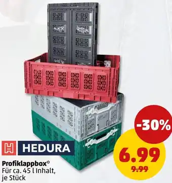 PENNY HEDURA Profiklappbox Angebot