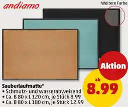 PENNY Andiamo Sauberlaufmatte Angebot