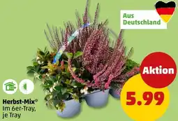 PENNY Herbst-Mix Angebot