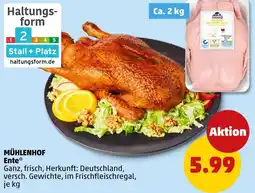PENNY MÜHLENHOF Ente Angebot