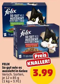 PENNY FELIX So gut wie es aussieht in Gelee Angebot