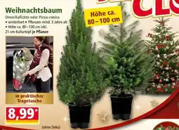 Norma Weihnachtsbaum Angebot