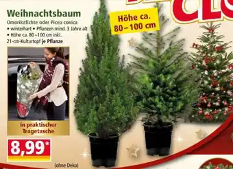 Norma Weihnachtsbaum Angebot
