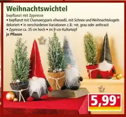Norma Weihnachtswichtel Angebot