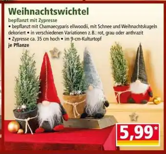 Norma Weihnachtswichtel Angebot