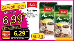 Norma Auslese Angebot