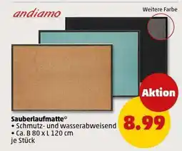 PENNY Sauberlaufmatte Angebot