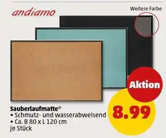 PENNY Sauberlaufmatte Angebot