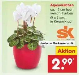 Netto Marken-Discount Alpenveilchen Angebot