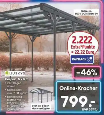 Netto Marken-Discount Carport 5 x 3 m Angebot