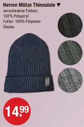 V Markt Herren Mütze Thinsulate Angebot