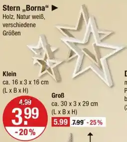 V Markt Stern ,,Borna❝ Angebot