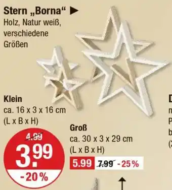 V Markt Stern ,,Borna❝ Angebot