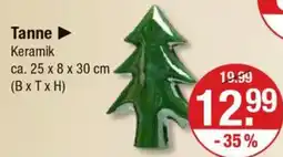 V Markt Tanne Angebot