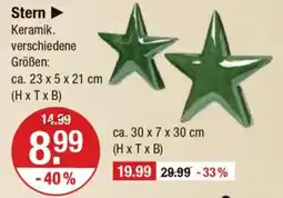 V Markt Stern Angebot