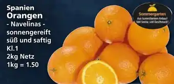 Klaas und Kock Spanien Orangen 2kg Angebot