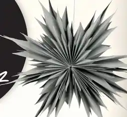 Thomas Philipps Papierstern Angebot