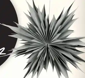 Thomas Philipps Papierstern Angebot