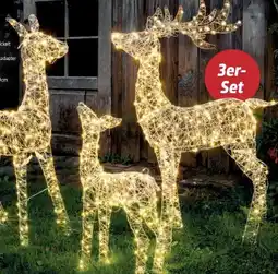 Thomas Philipps LED-Rentier Familie Angebot