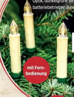 Thomas Philipps LED-Weihnachtsbaumkerzen Angebot