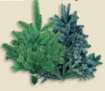 Thomas Philipps Handbunde Angebot