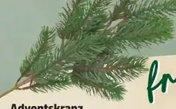 Thomas Philipps Künstlicher Tannenzweig Angebot