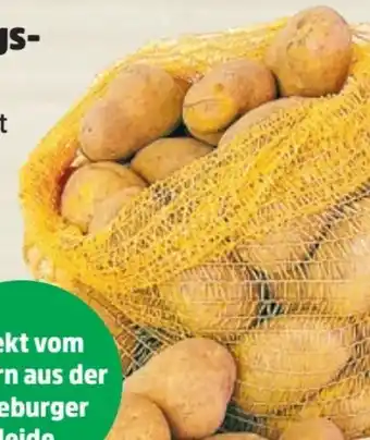Thomas Philipps Einkellerungskartoffeln Angebot