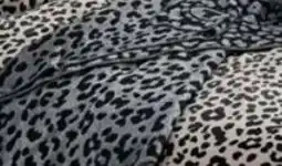 Ostermann Tom Tailor Passende Decke Leo Angebot