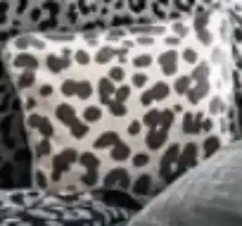 Ostermann Tom Tailor Passende Kissenhülle Leo Angebot