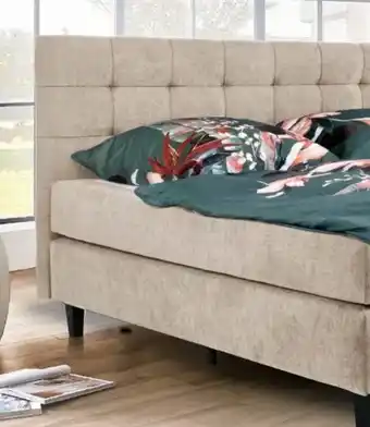 Ostermann Rolf Weber Boxspringbett Jena Angebot