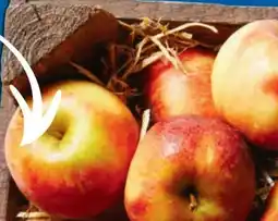 Lidl Bio Wetteräpfel Angebot