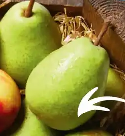 Lidl Birnen Alexander Lucas Angebot