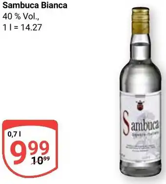 Globus Sambuca Bianca Angebot