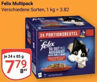 Globus Felix Multipack Angebot