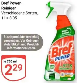 Globus Bref Power Reiniger Angebot