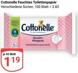 Globus Cottonelle Feuchtes Toilettenpapier Angebot